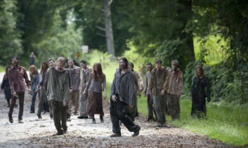 The-Walking-Dead-Live-Bait-zombie-herd.j