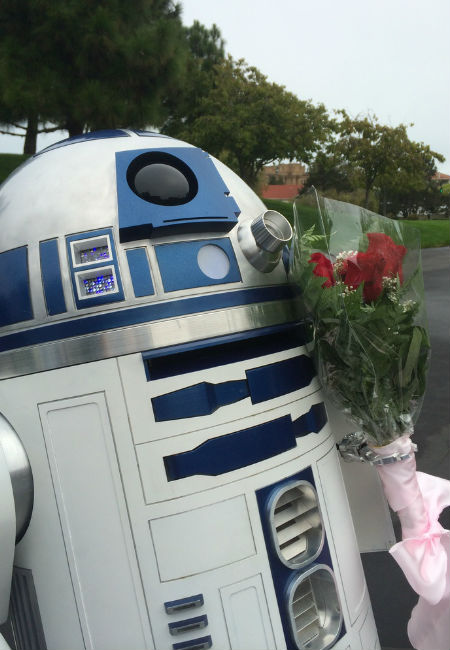 R2-D2 finally finds love sweet droid love after rolling through the streets of San Francisco and the Bay area (image (c) Artoo in Love via Laughing Squid)