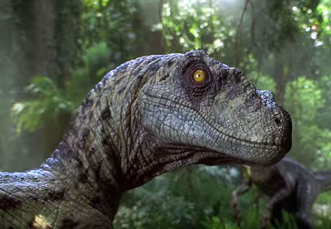 Aren't the Velociraptors just the cutest things ever? Life finds the cutest way ... (image via YouTube/Mashable)