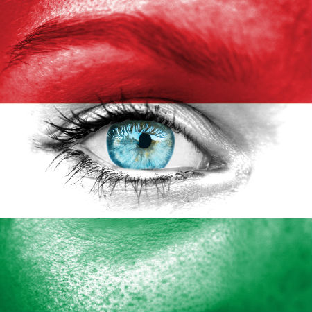 Road to Eurovision Week 2 Hungary flag