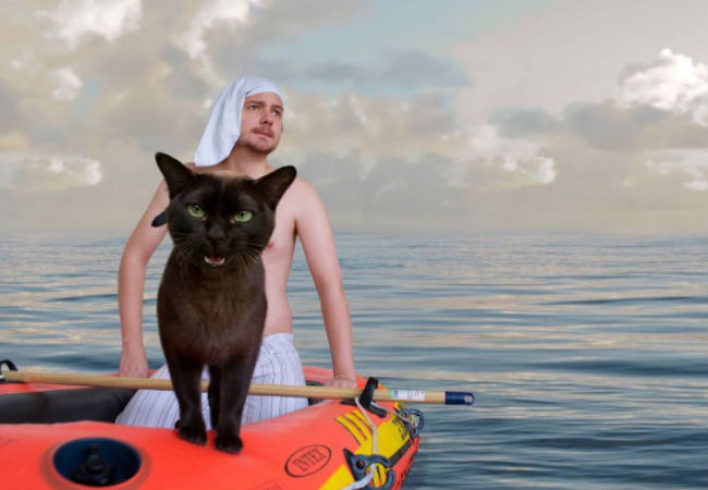 Life of Pi (image (c) Dave and Sarah, Movie Cats, Instagram)