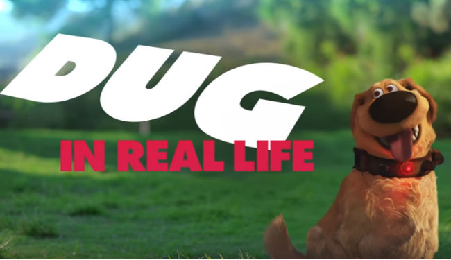 It's Dug! Inr eal life, as adorable as ever (image via YouTube (c) Disney)